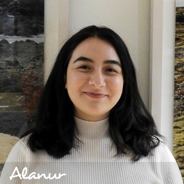 Alanur